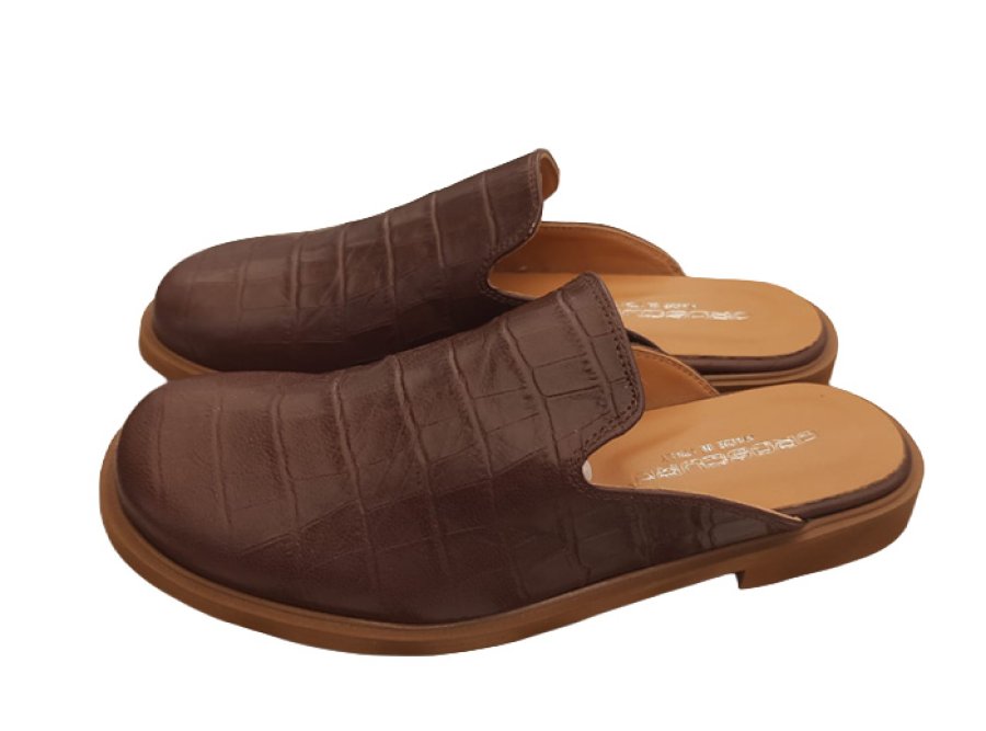 Anteprima colore Cocco/Marrone per Sabot